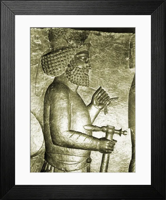 Framed Print : Royal Reception Relief, Persepolis, Iran Framed Print : Royal Reception Relief, Persepolis, Iran
