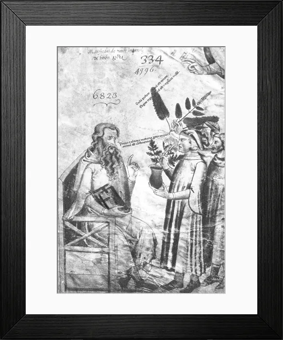 Framed Print : De Herbis et Plantis, 1629