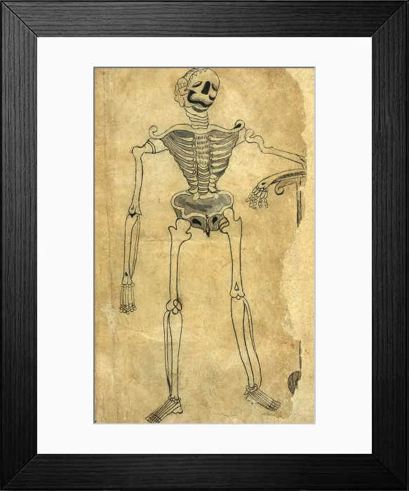 Framed Print : Akbar's Medicine, Persian Anatomical Skeleton Framed Print : Akbar's Medicine, Persian Anatomical Skeleton