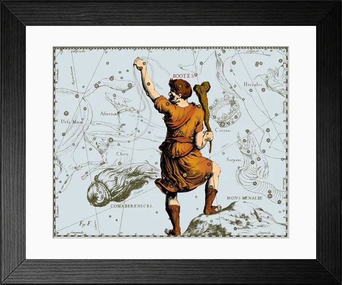 Framed Print : Bootes Constellation, 1687 Framed Print : Bootes Constellation, 1687