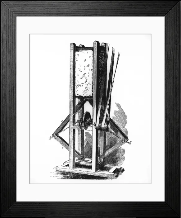 Framed Print : Cotton press Framed Print : Cotton press