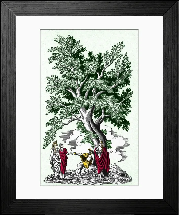 Framed Print : Judgement of Paris Framed Print : Judgement of Paris