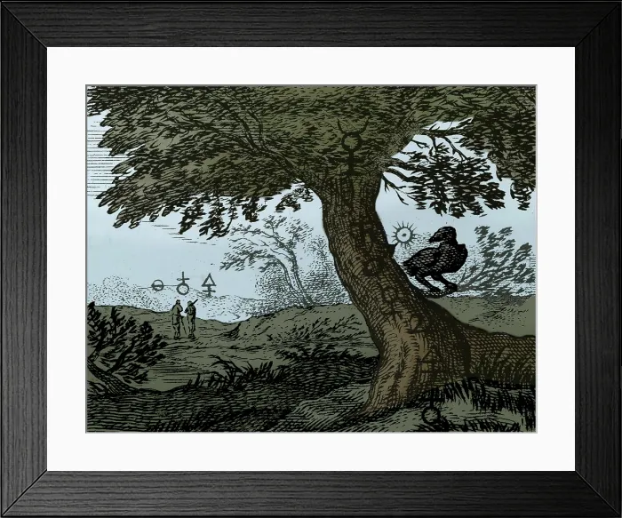 Framed Print : Alchemy Illustration Framed Print : Alchemy Illustration