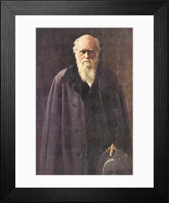 Framed Print : Charles Darwin, English Naturalist Framed Print : Charles Darwin, English Naturalist
