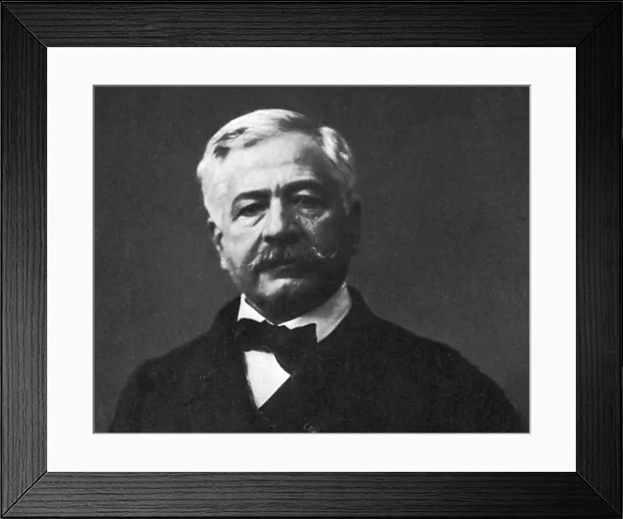 Framed Print : De Lesseps, French Diplomat, Suez Canal Developer Framed Print : De Lesseps, French Diplomat, Suez Canal Developer