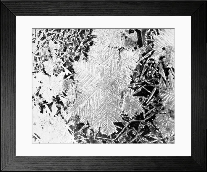 Framed Print : Ice Crystals, 1926 Framed Print : Ice Crystals, 1926
