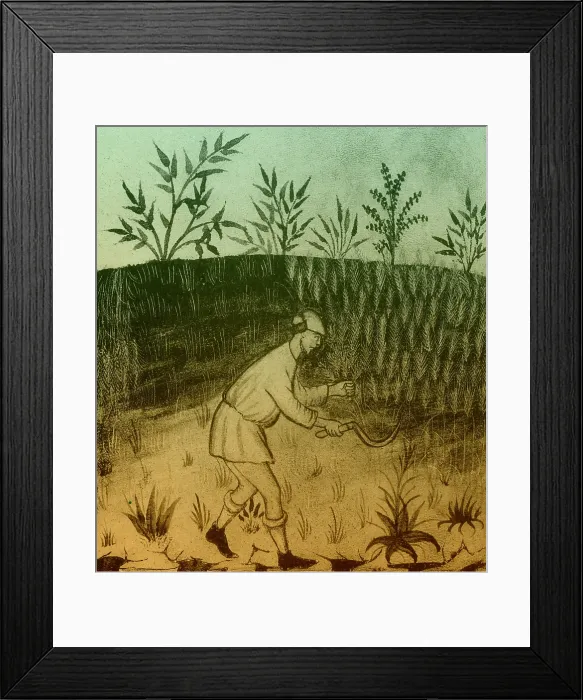 Framed Print : Agriculture, Medieval Farming