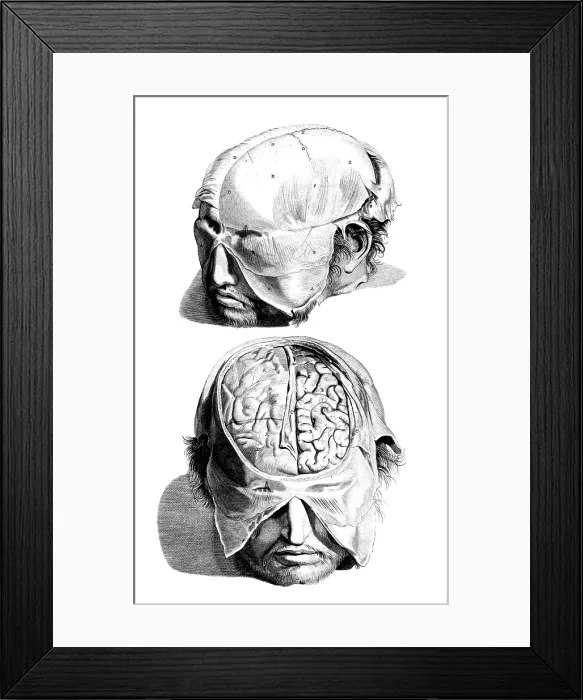Framed Print : Anatomia humani corporis, Table 05, 1690 Framed Print : Anatomia humani corporis, Table 05, 1690