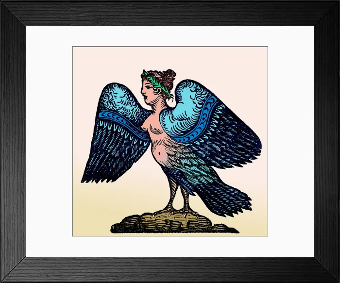 Framed Print : Harpy, Legendary Creature Framed Print : Harpy, Legendary Creature