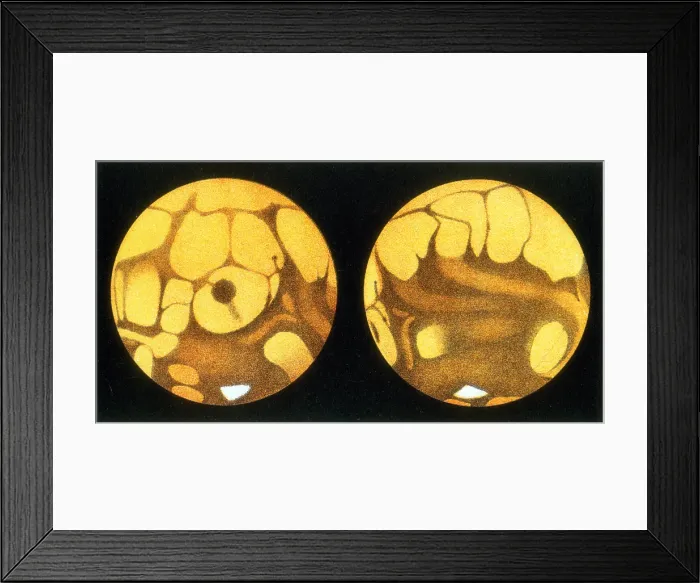 Framed Print : Schiaparelli Mars Map, 1877-78