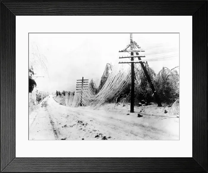 Framed Print : Snow and Ice Damage Framed Print : Snow and Ice Damage