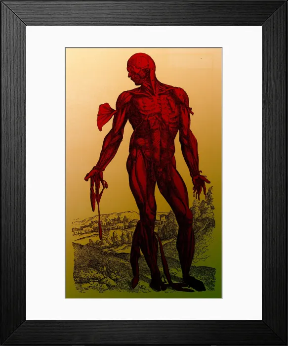 Framed Print : Vesalius De humani Corporis Fabrica
