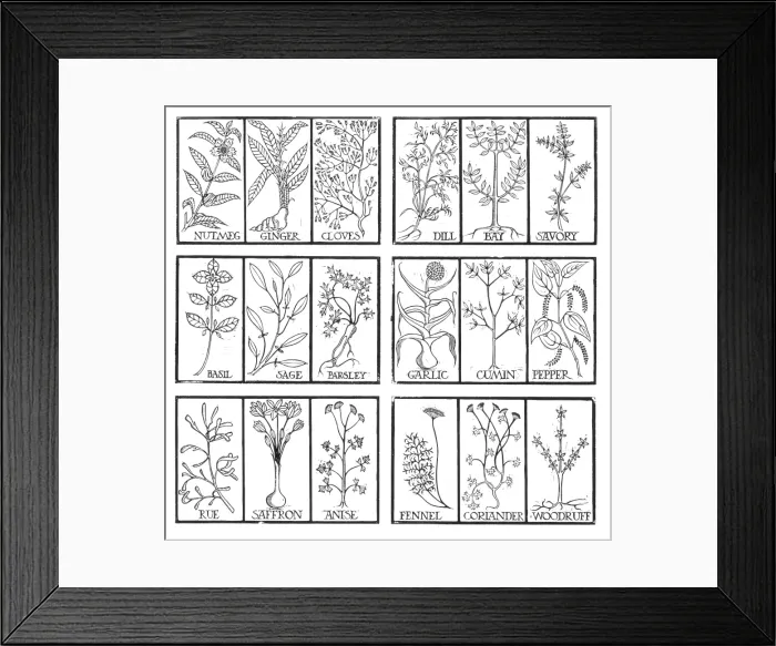 Framed Print : Edible Herbs Framed Print : Edible Herbs