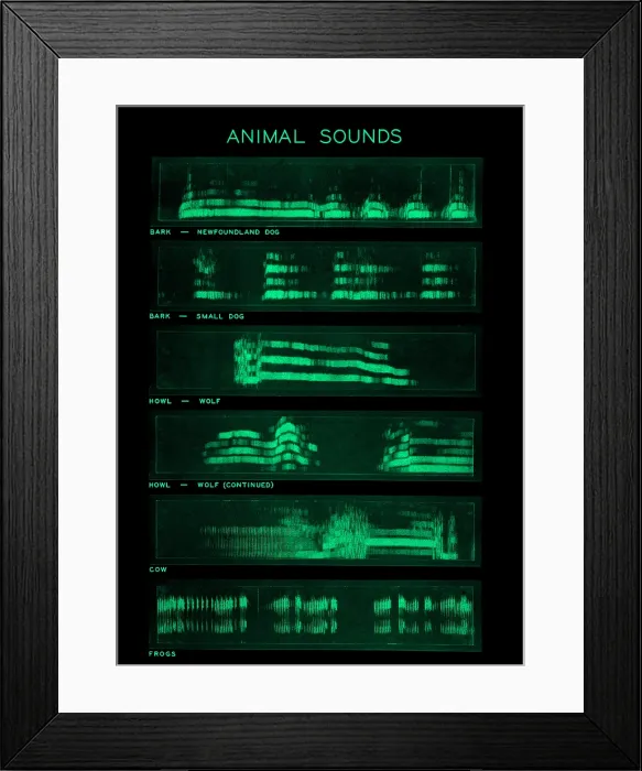 Framed Print : Spectrogram of Animal Sounds
