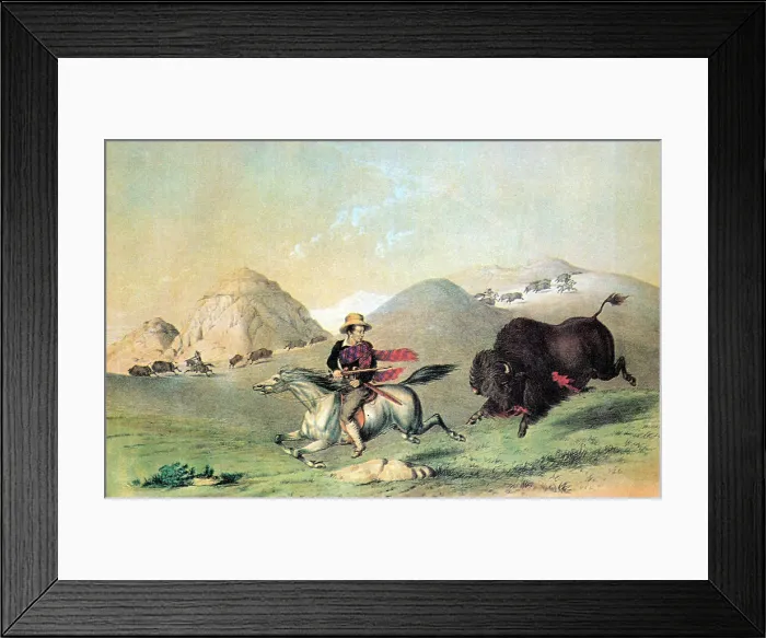 Framed Print : Buffalo Bull Chasing Back, 19th Century