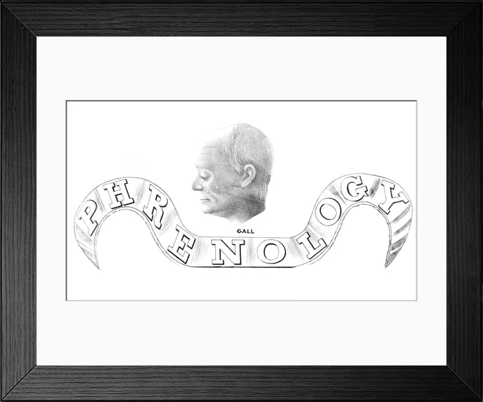 Framed Print : Franz Joseph Gall, German Phrenologist