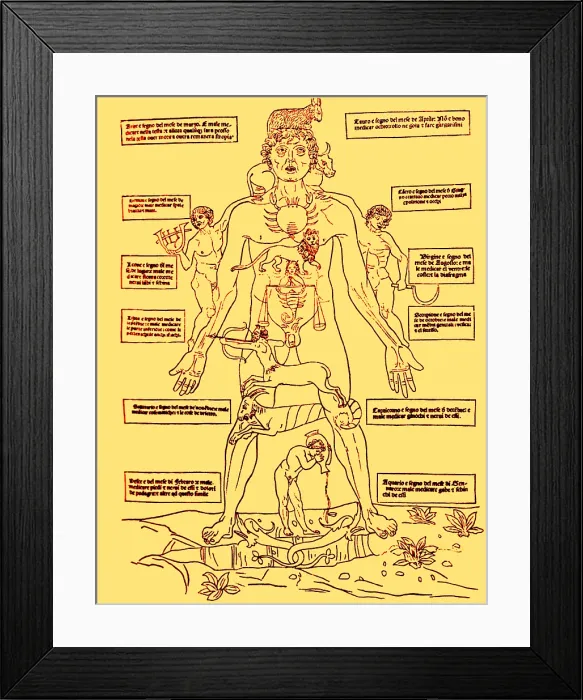 Framed Print : Zodiac Man, Medical Astrology Framed Print : Zodiac Man, Medical Astrology