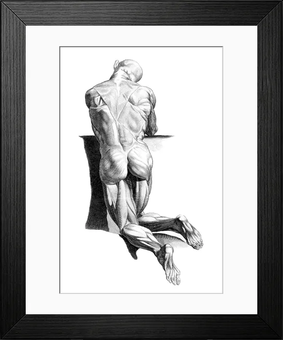 Framed Print : Jacques Gamelin, Nouveau d'osteologie, 1779 Framed Print : Jacques Gamelin, Nouveau d'osteologie, 1779