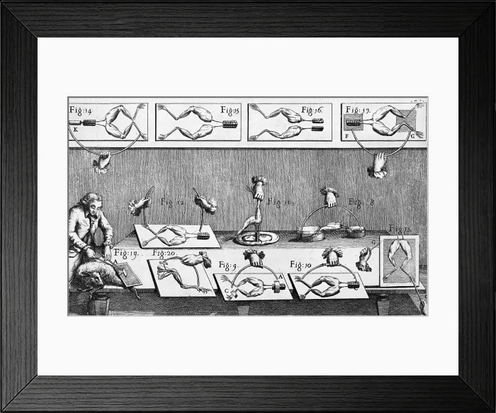 Framed Print : Luigi Galvani Experiments Framed Print : Luigi Galvani Experiments