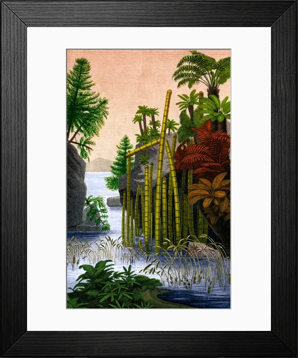 Framed Print : Plants of the Triassic Period Framed Print : Plants of the Triassic Period
