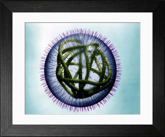 Framed Print : MeV, Measles Virus