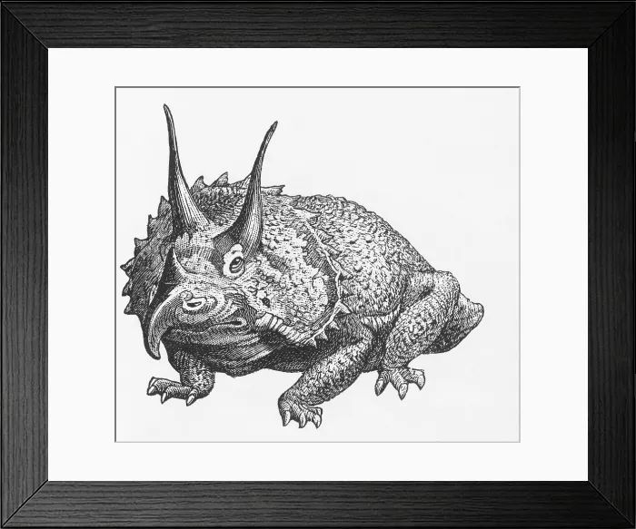 Framed Print : Triceratops Illustration