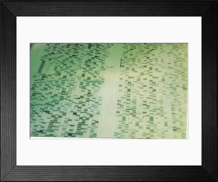 Framed Print : DNA Sequencing Gel Framed Print : DNA Sequencing Gel