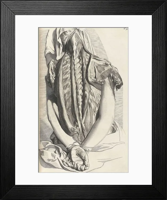 Framed Print : Anatomia humani corporis, Table 30, 1690