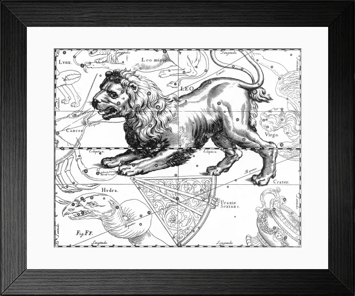 Framed Print : Leo Constellation, Zodiac Sign, Hevelius Framed Print : Leo Constellation, Zodiac Sign, Hevelius
