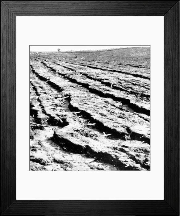 Framed Print : Manhandled Land, Dust Bowl, 1938 Framed Print : Manhandled Land, Dust Bowl, 1938