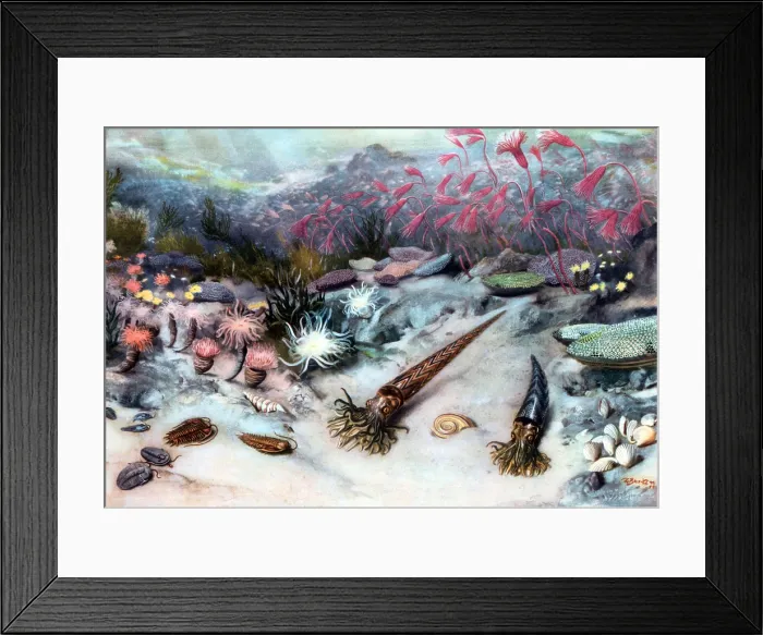 Framed Print : Silurian Seascape Framed Print : Silurian Seascape