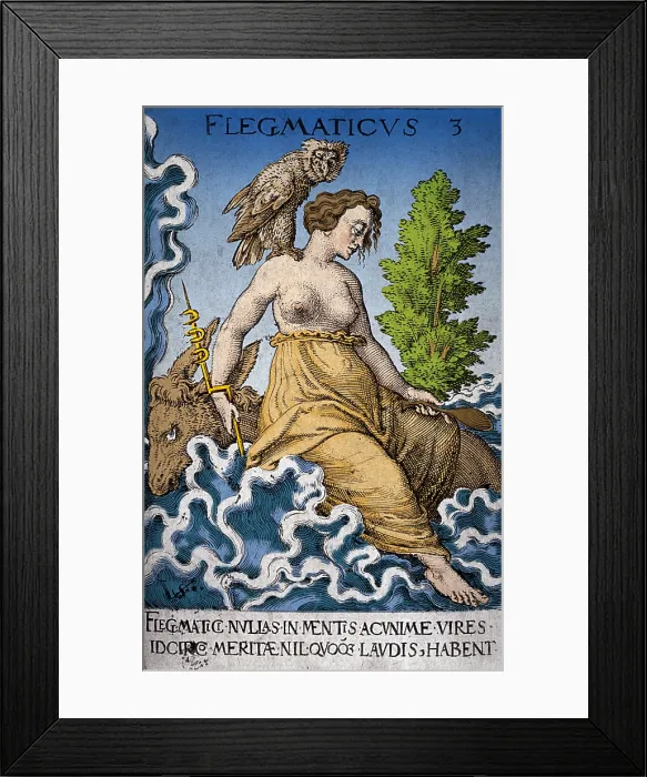 Framed Print : Hippocratic Medicine, Four Humors, Phlegmatic