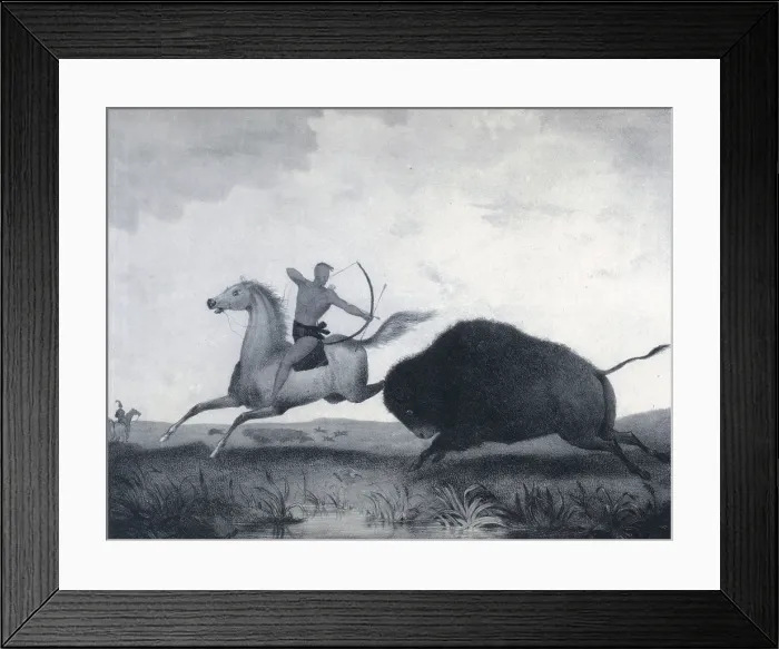 Framed Print : Native American Indian Buffalo Hunt, 1830 Framed Print : Native American Indian Buffalo Hunt, 1830
