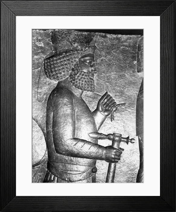 Framed Print : Royal Reception Relief, Persepolis, Iran Framed Print : Royal Reception Relief, Persepolis, Iran