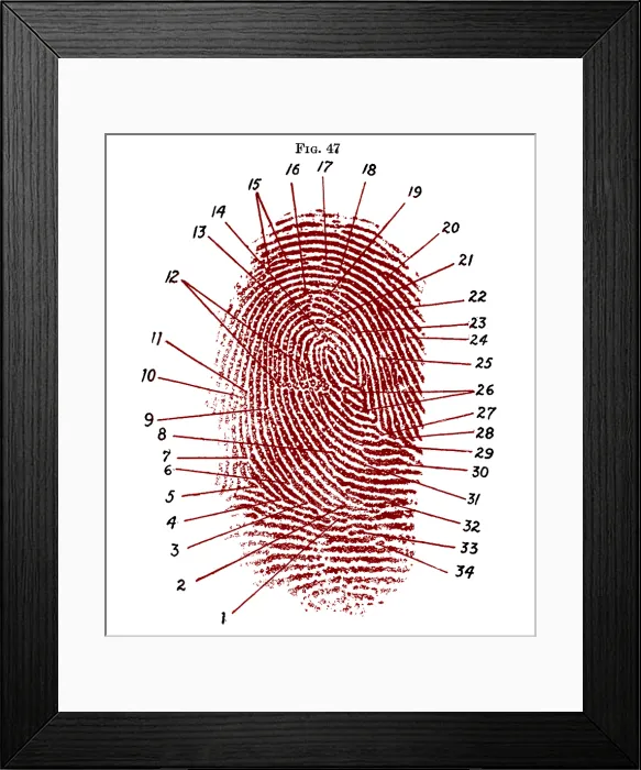 Framed Print : Fingerprint Diagram, 1940 Framed Print : Fingerprint Diagram, 1940