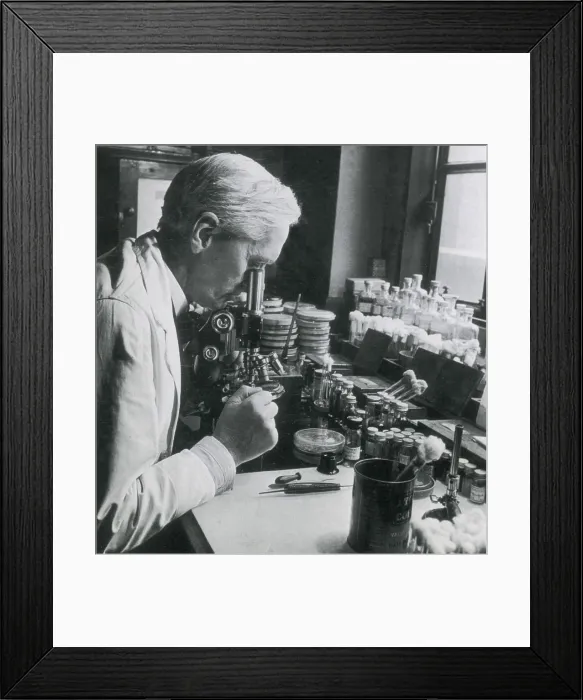 Framed Print : Alexander Fleming, Scottish Biologist Framed Print : Alexander Fleming, Scottish Biologist
