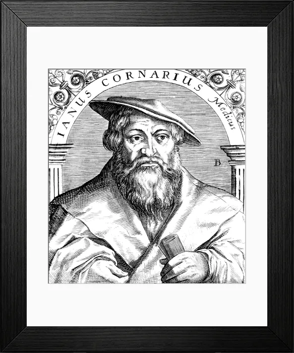 Framed Print : Janus Cornarius, German Philologist
