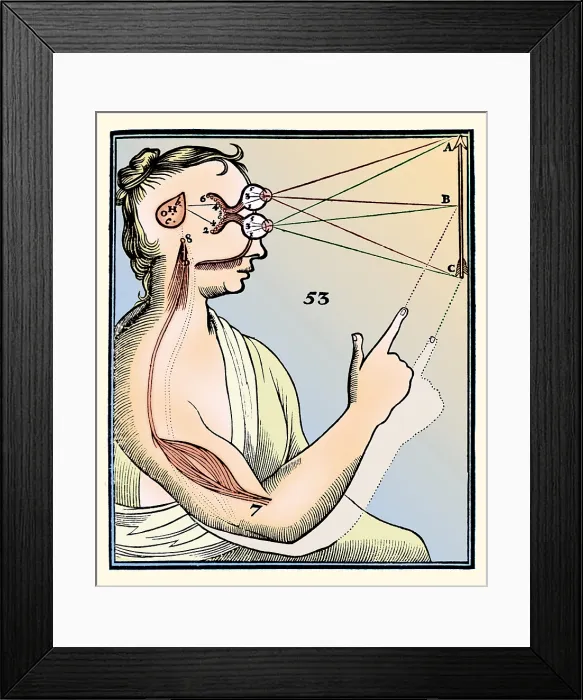 Framed Print : Rene Descartes, Vision and External Stimuli Framed Print : Rene Descartes, Vision and External Stimuli