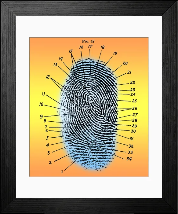 Framed Print : Fingerprint Diagram, 1940