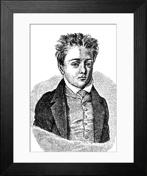 Framed Print : Young Gustave Flaubert, 1831