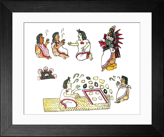 Framed Print : Aztec Medicine, Codex Magliabechiano, 16th Century Framed Print : Aztec Medicine, Codex Magliabechiano, 16th Century