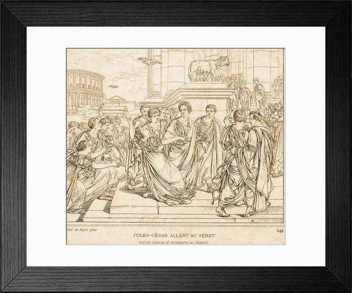 Framed Print : Assassination of Julius Caesar, 44 BC Framed Print : Assassination of Julius Caesar, 44 BC