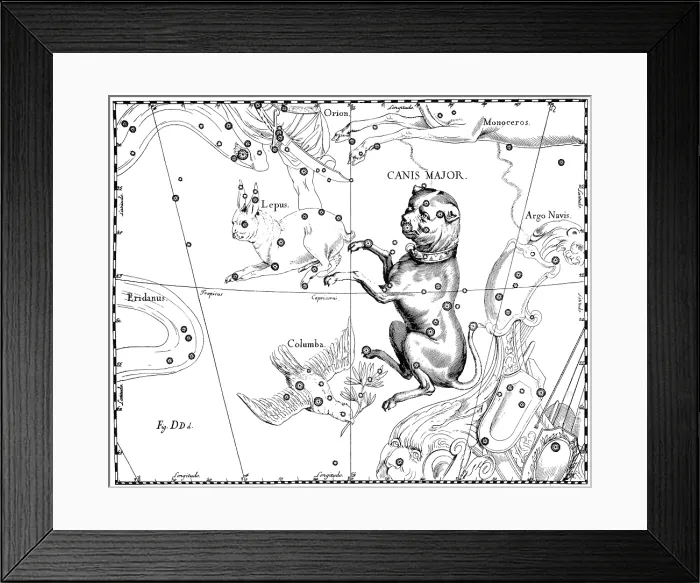 Framed Print : Canis Major Constellation, Hevelius, 1687 Framed Print : Canis Major Constellation, Hevelius, 1687
