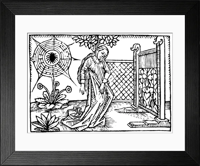 Framed Print : Arachne the Weaver, Greek Myth Framed Print : Arachne the Weaver, Greek Myth