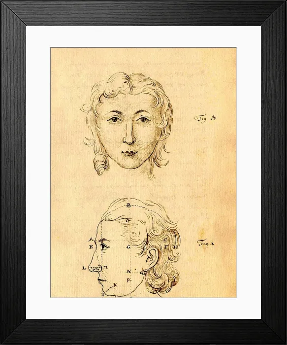 Framed Print : Physiognomical Illustration of Human Head