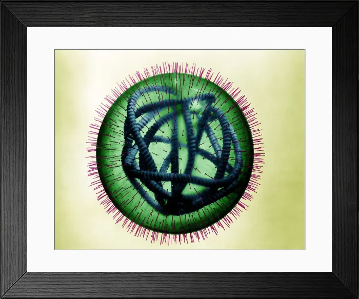 Framed Print : MeV, Measles Virus Framed Print : MeV, Measles Virus