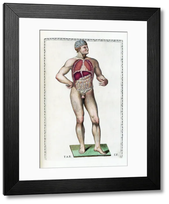 Framed Print : Eustachi, 'Tabulae anatomicae', 1783 Framed Print : Eustachi, 'Tabulae anatomicae', 1783