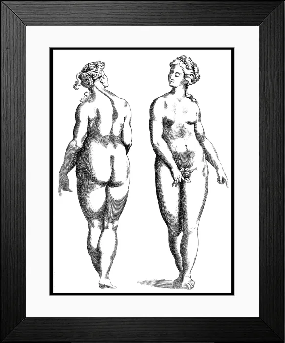 Framed Print : Giambattista della Porta, Physiognomy, 1586 Framed Print : Giambattista della Porta, Physiognomy, 1586