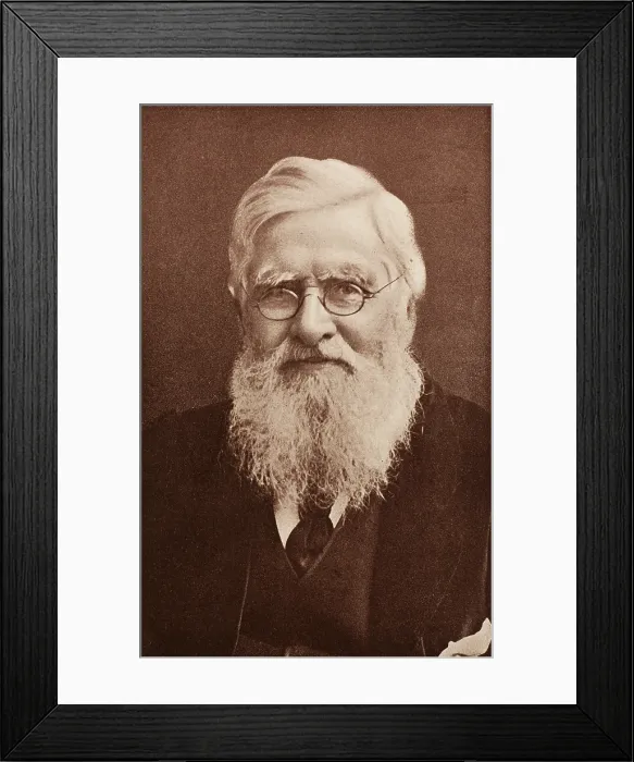 Framed Print : Alfred Russel Wallace, Welsh Naturalist Framed Print : Alfred Russel Wallace, Welsh Naturalist