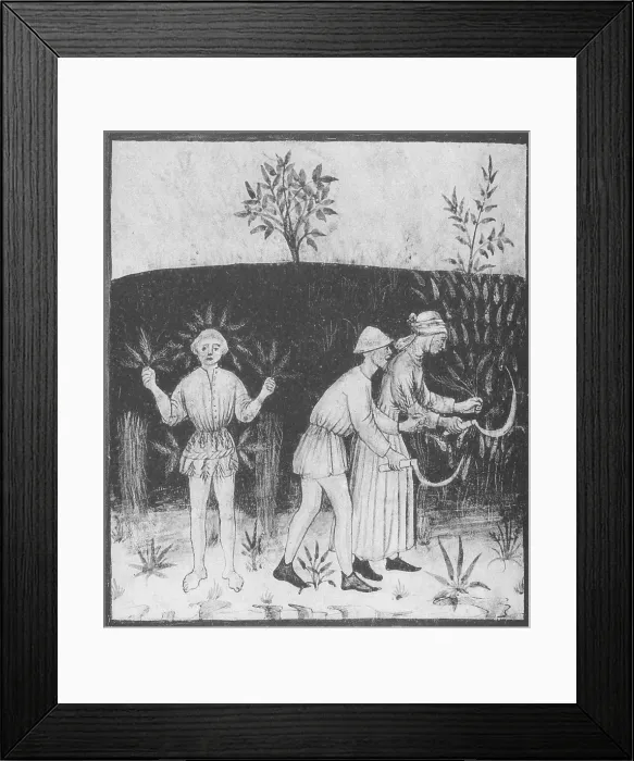 Framed Print : Agriculture-1400s Framed Print : Agriculture-1400s